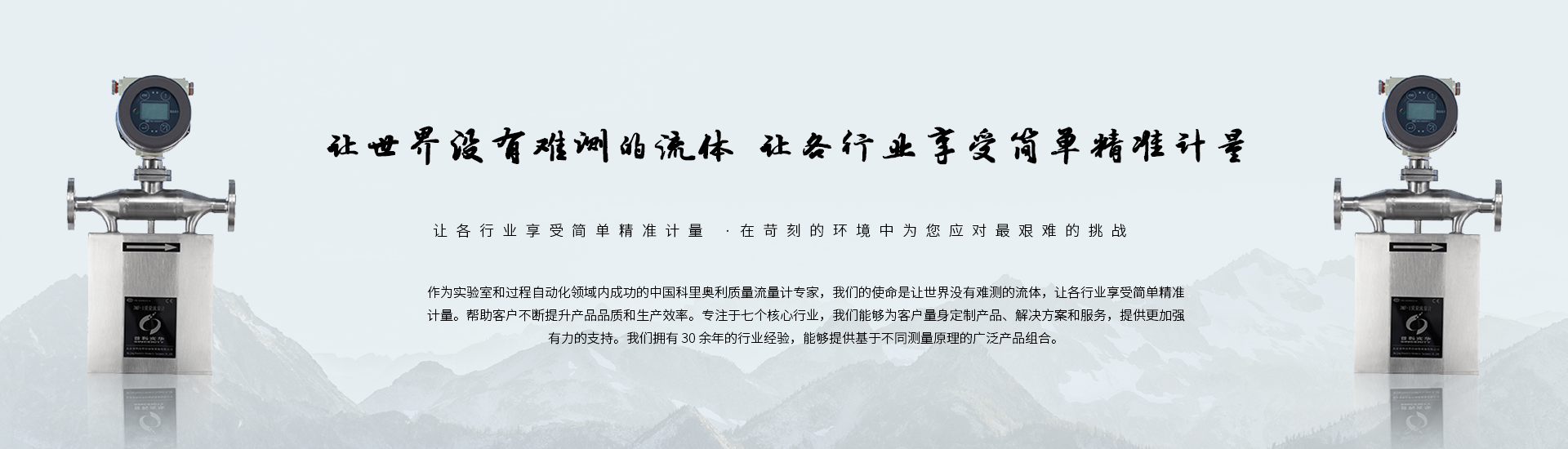 这是描述信息